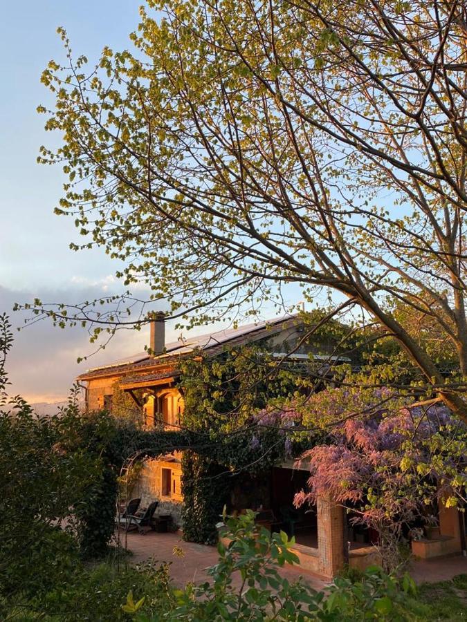 Agriturismo Solidor Pitigliano Ngoại thất bức ảnh