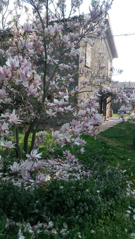 Agriturismo Solidor Pitigliano Ngoại thất bức ảnh
