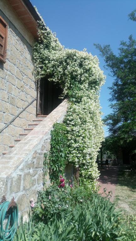 Agriturismo Solidor Pitigliano Ngoại thất bức ảnh