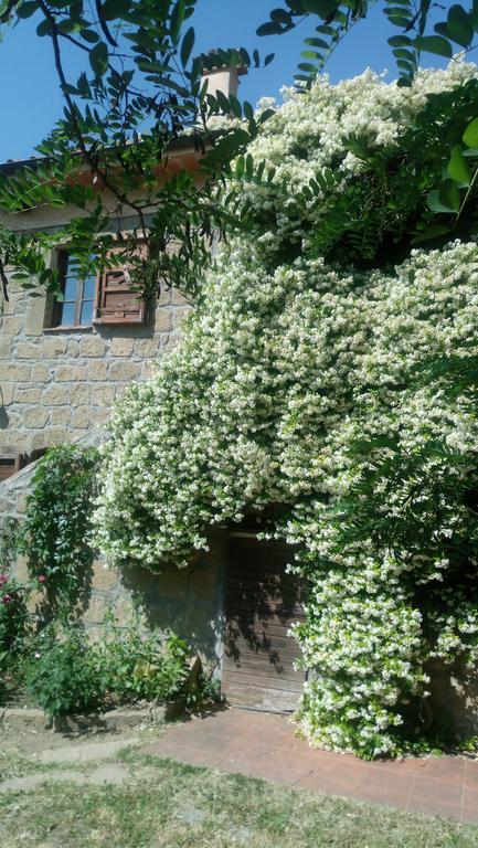 Agriturismo Solidor Pitigliano Ngoại thất bức ảnh
